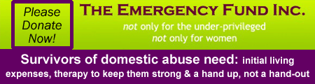 Please donate to help domesetic abuse survivors!